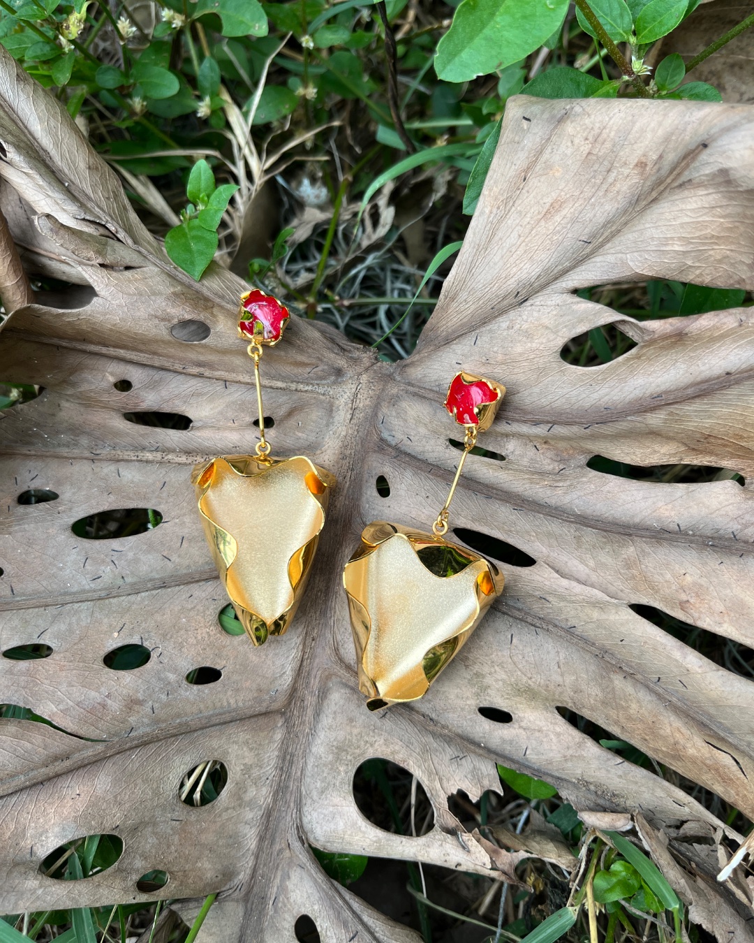 Aretes semillas