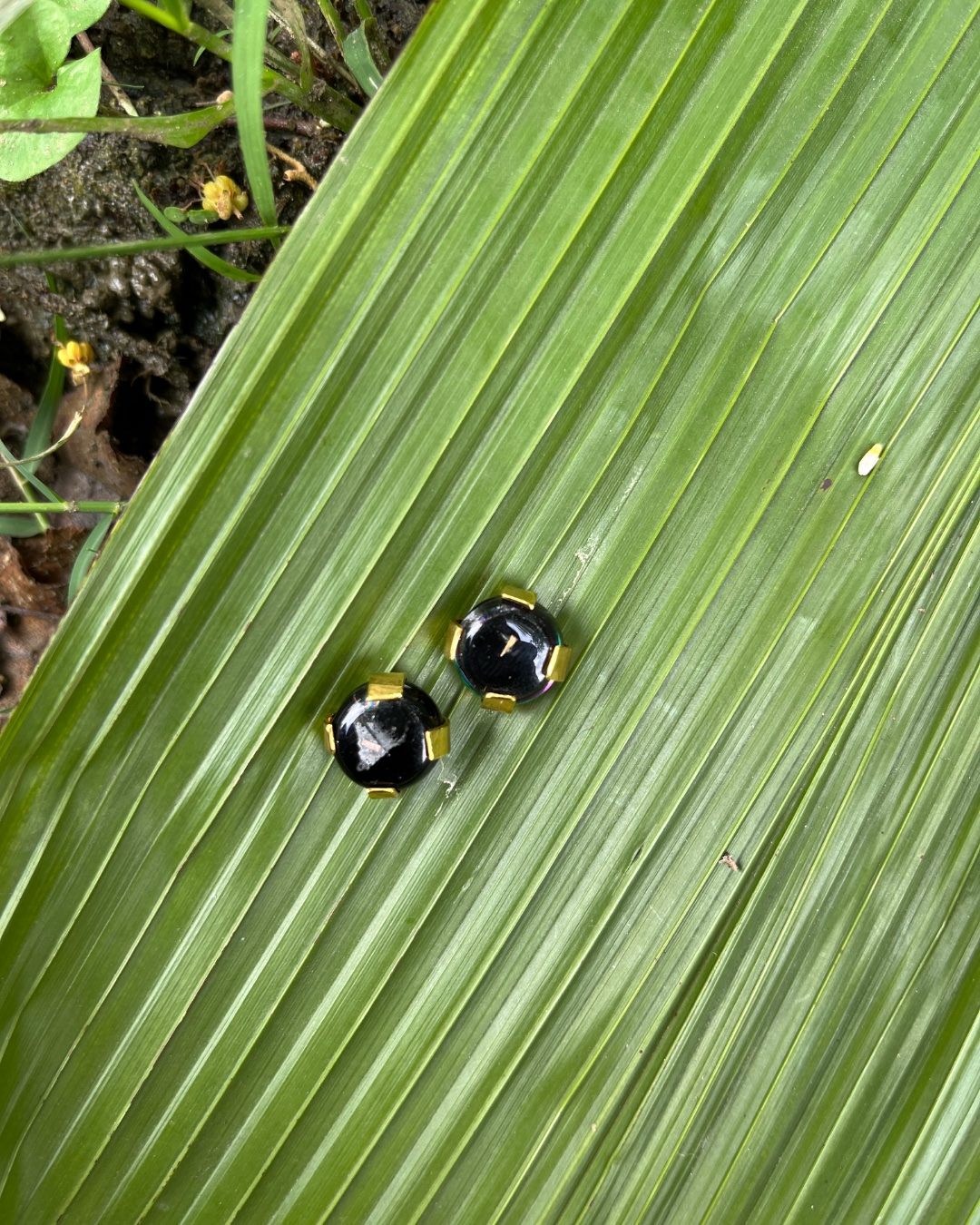Topos — Negro