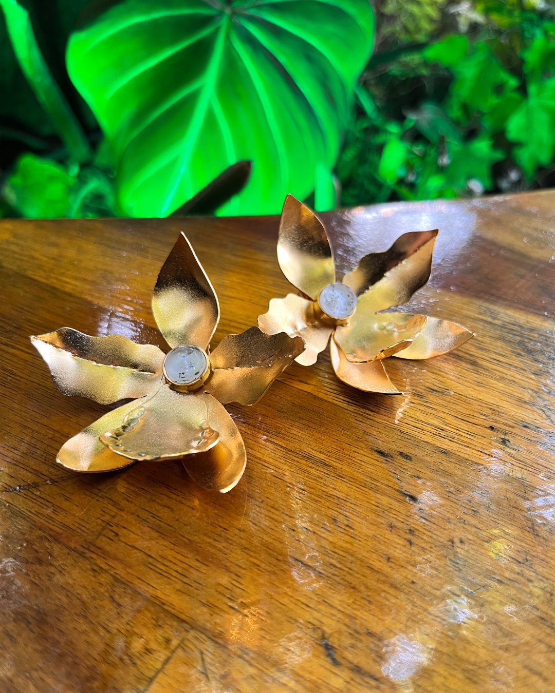 Topos orquídeas